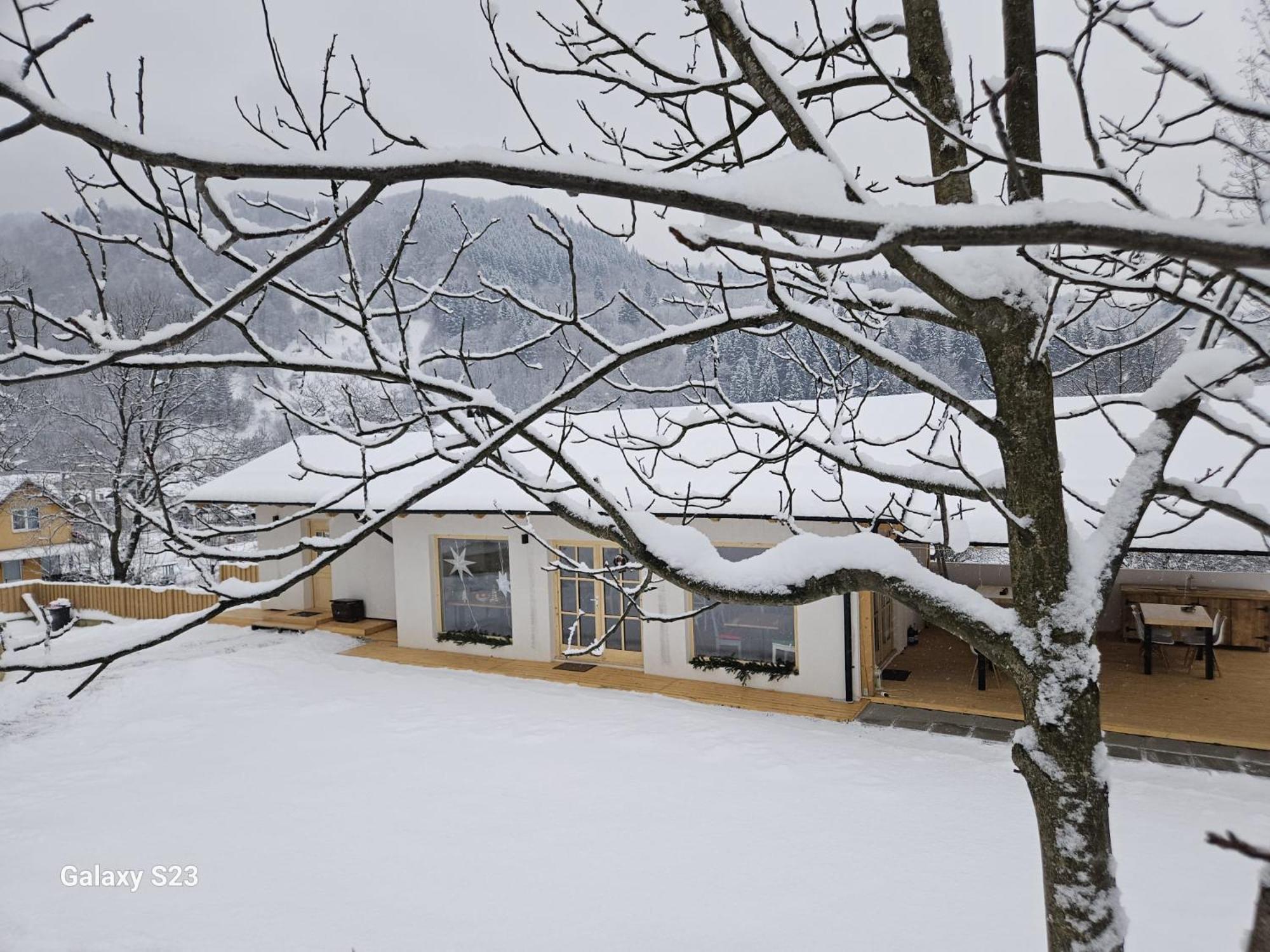 Casa Mara Viseu De Sus Otel Dış mekan fotoğraf