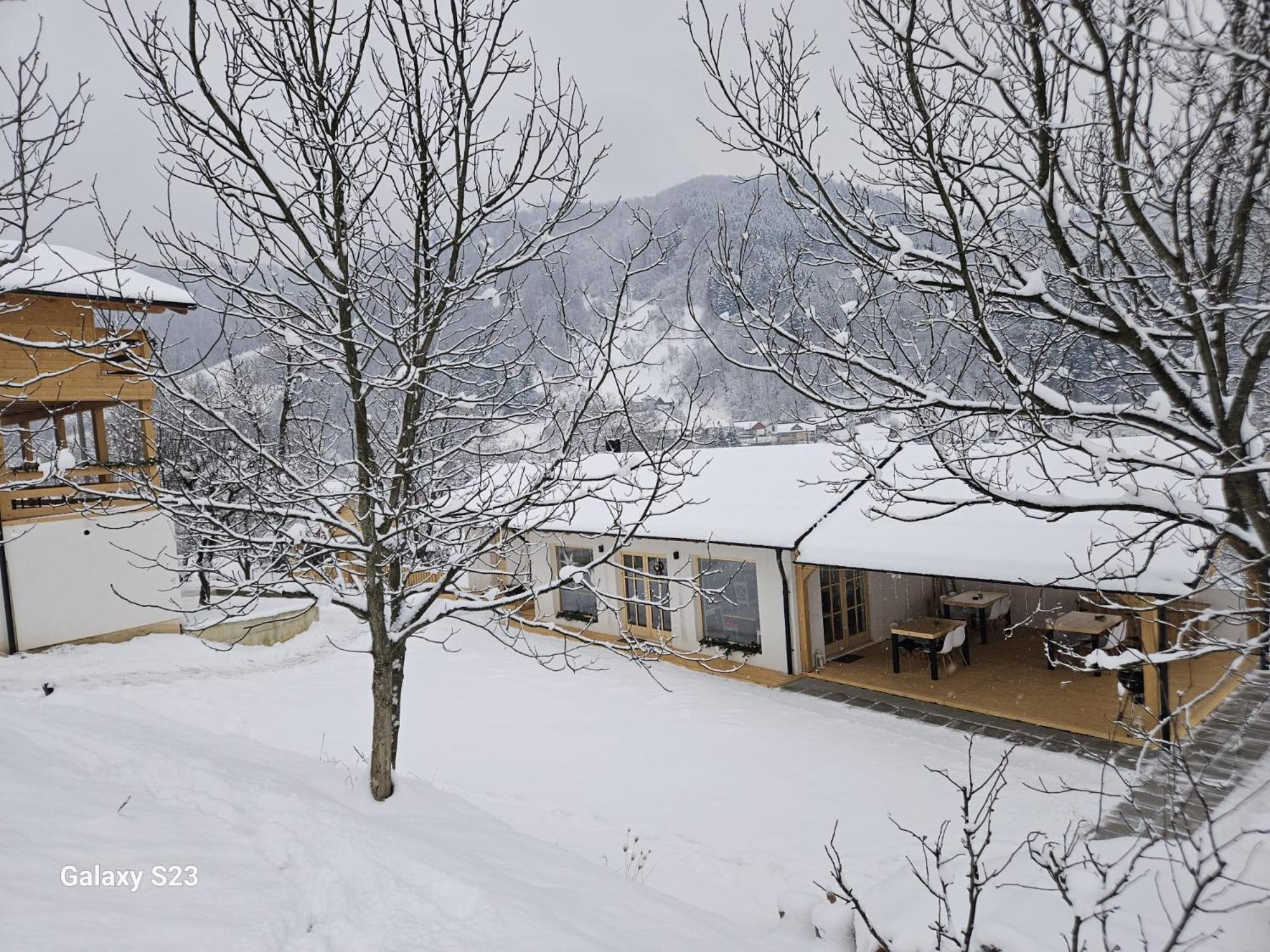 Casa Mara Viseu De Sus Otel Dış mekan fotoğraf