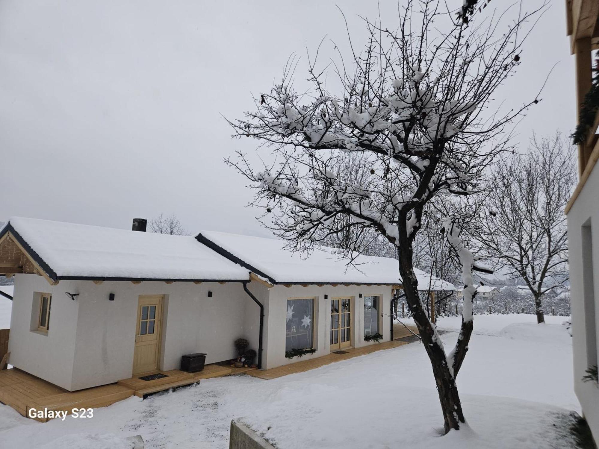 Casa Mara Viseu De Sus Otel Dış mekan fotoğraf