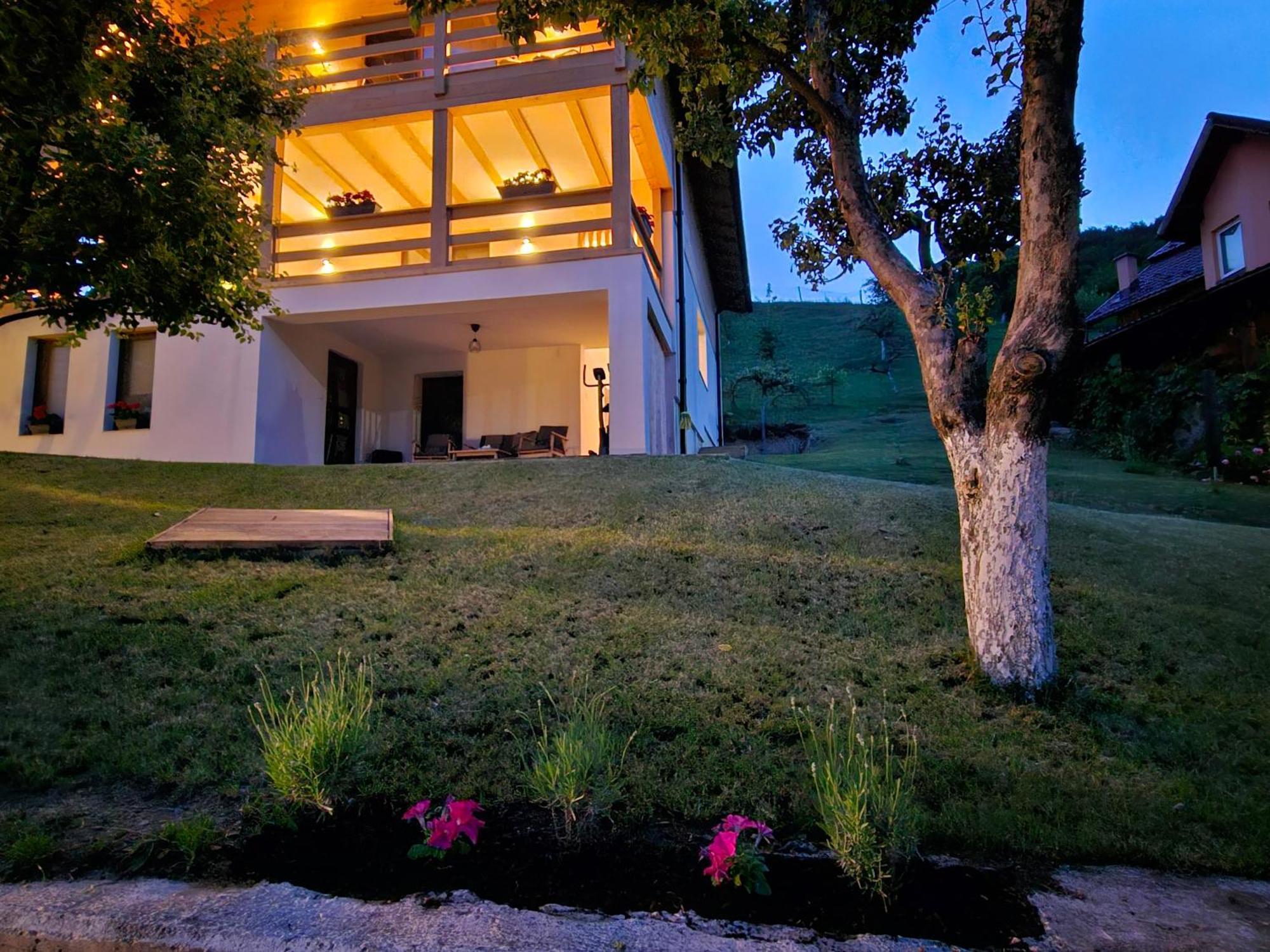 Casa Mara Viseu De Sus Otel Dış mekan fotoğraf