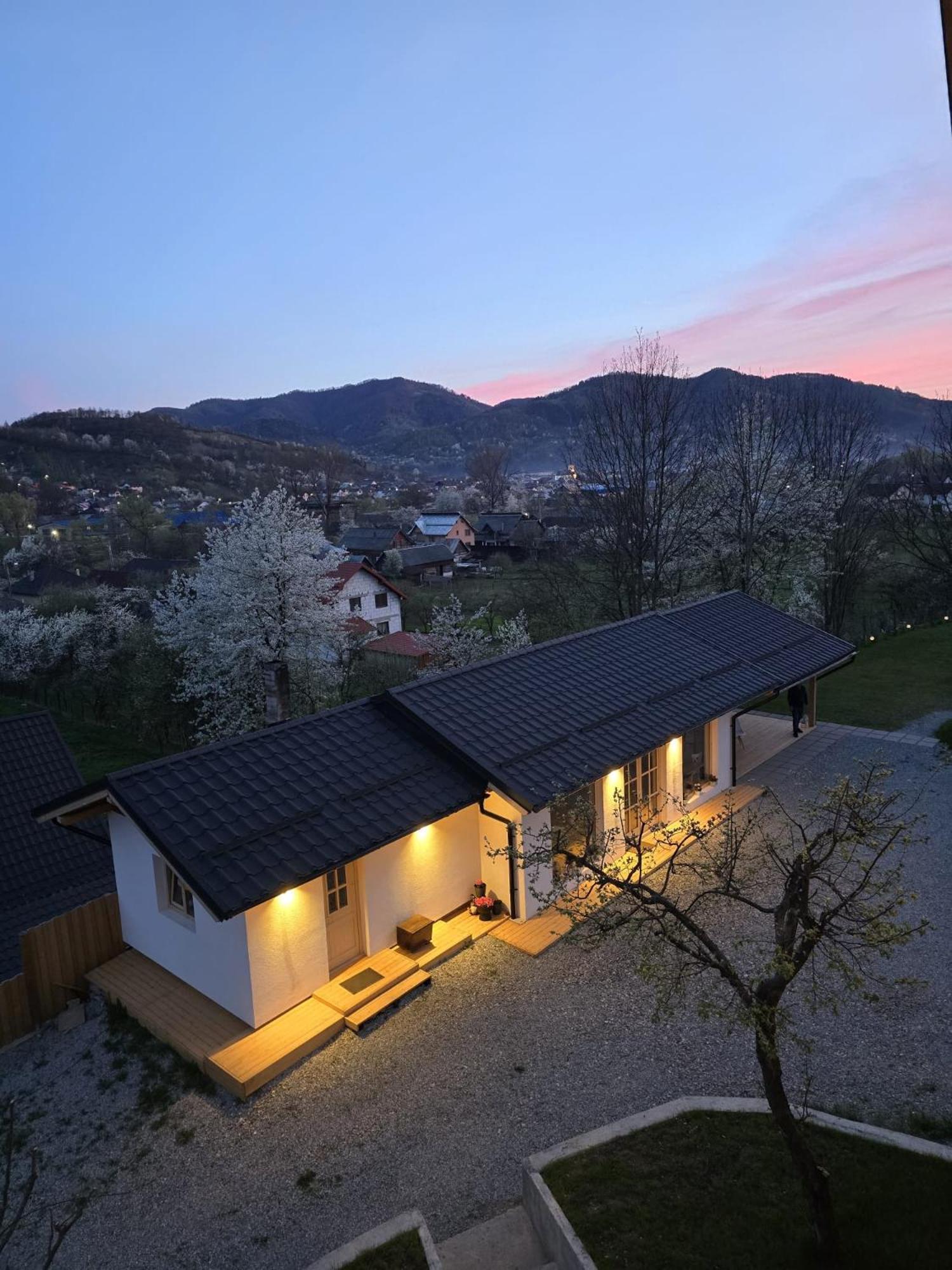 Casa Mara Viseu De Sus Otel Dış mekan fotoğraf